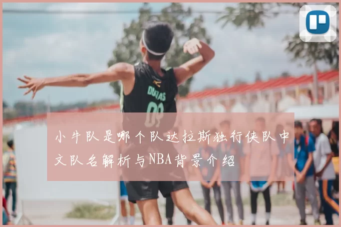 小牛队是哪个队达拉斯独行侠队中文队名解析与NBA背景介绍