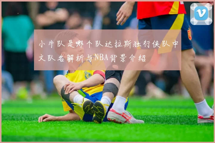 小牛队是哪个队达拉斯独行侠队中文队名解析与NBA背景介绍